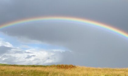 2025 AGM – MEMBERS ONLY