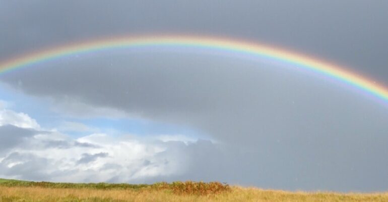 2025 AGM – MEMBERS ONLY